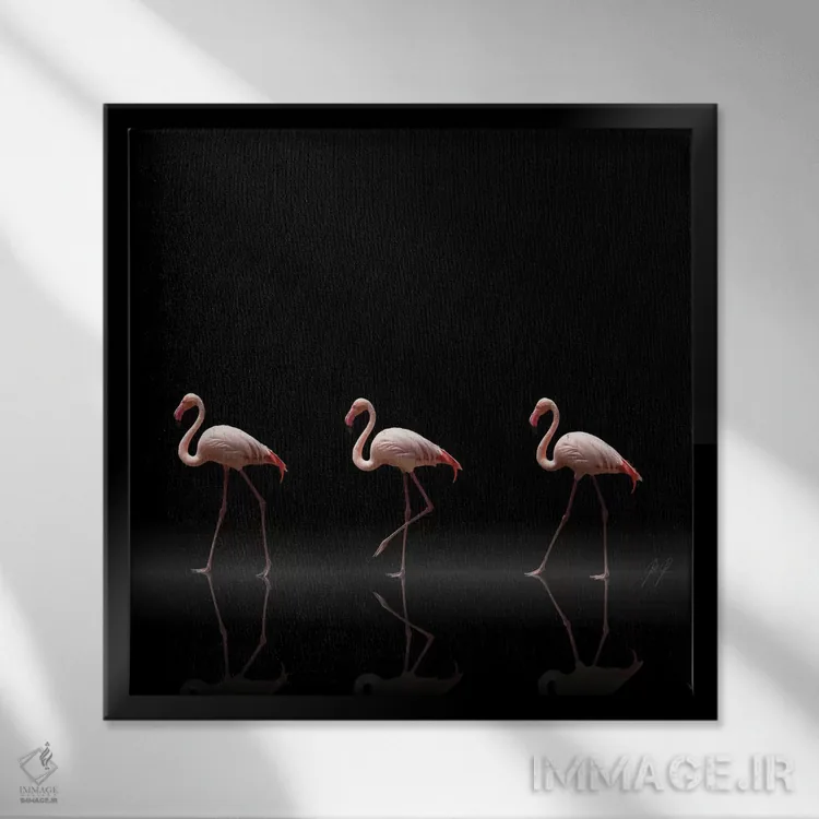تابلو دکوراتیو رژه فلامینگوها اثر کاترین فدرر - نمای قابدار مشکی