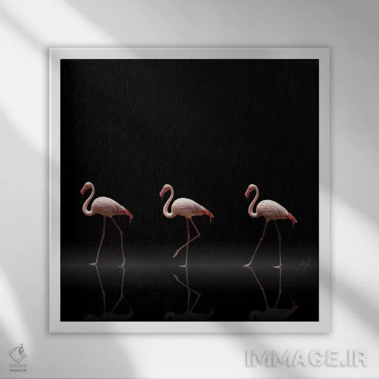 تابلو دکوراتیو رژه فلامینگوها اثر کاترین فدرر - نمای قابدار سفید