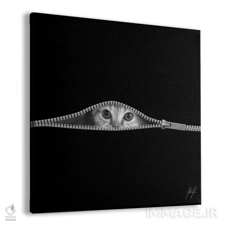 تابلو مینیمال خجالتی اثر کاترین فدرر - نمای پرسپکتیو محصول