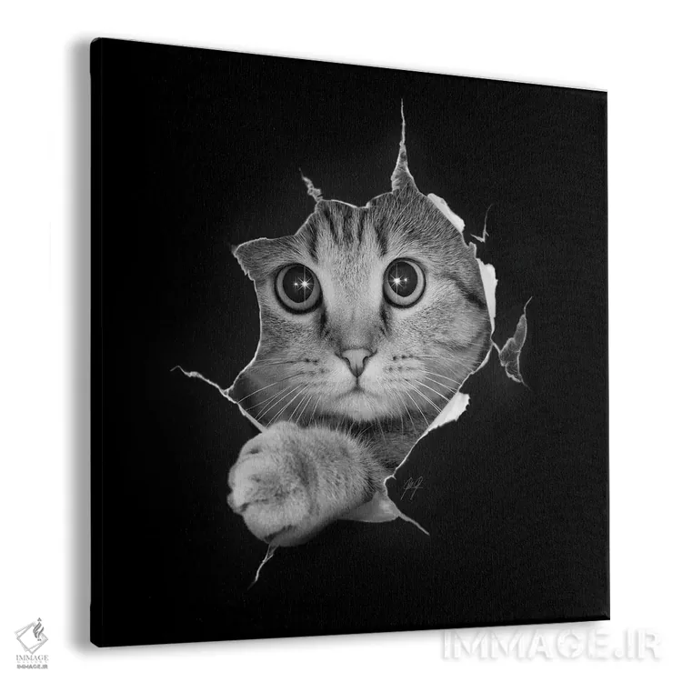 تابلو دکوراتیو فقط دارم چک می کنم اثر کاترین فدرر - نمای پرسپکتیو محصول