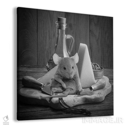 تابلو دکوراتیو پرخور ۲ اثر کاترین فدرر - نمای پرسپکتیو محصول