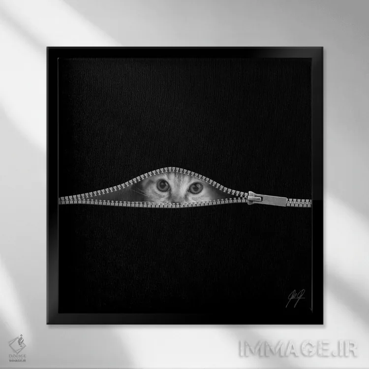 تابلو مینیمال خجالتی اثر کاترین فدرر - نمای قابدار مشکی