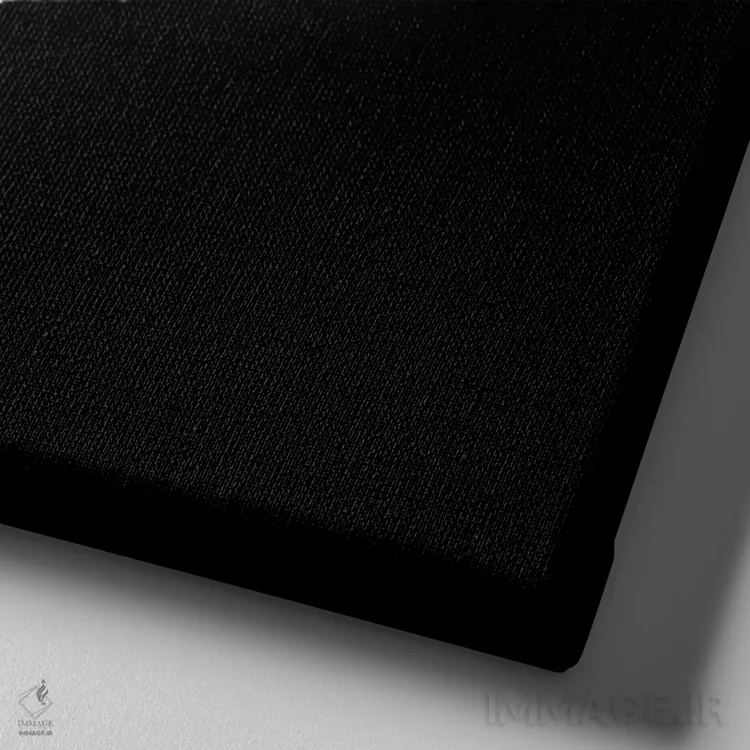 تابلو دکوراتیو فقط دارم چک می کنم اثر کاترین فدرر - نمای نزدیک بافت بوم