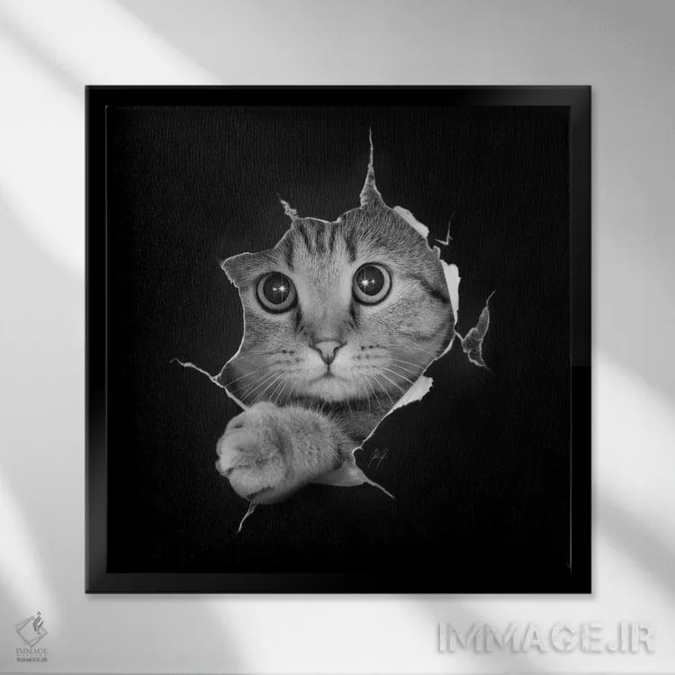 تابلو دکوراتیو فقط دارم چک می کنم اثر کاترین فدرر - نمای قابدار مشکی