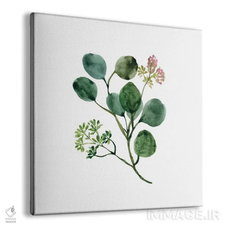 تابلو مینیمال گل اوکالیپتوس با آبرنگ اثر خارین هینز - نمای پرسپکتیو محصول