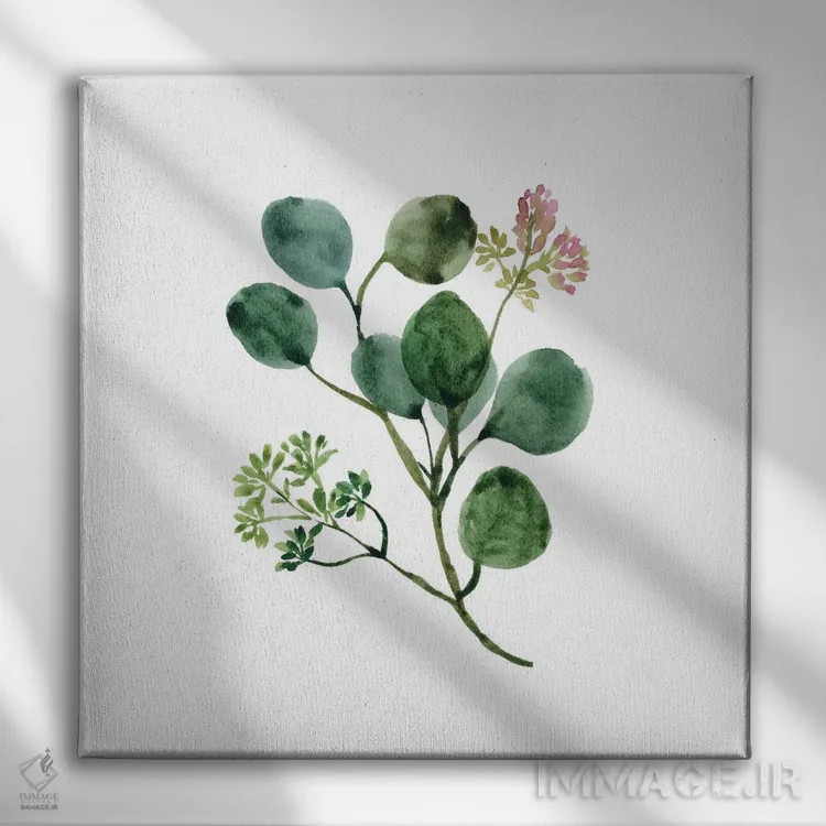تابلو مینیمال گل اوکالیپتوس با آبرنگ اثر خارین هینز - نمای روبهرو روی دیوار