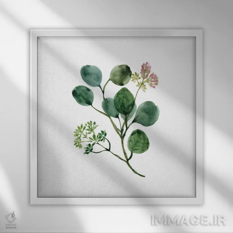 تابلو مینیمال گل اوکالیپتوس با آبرنگ اثر خارین هینز - نمای قابدار سفید