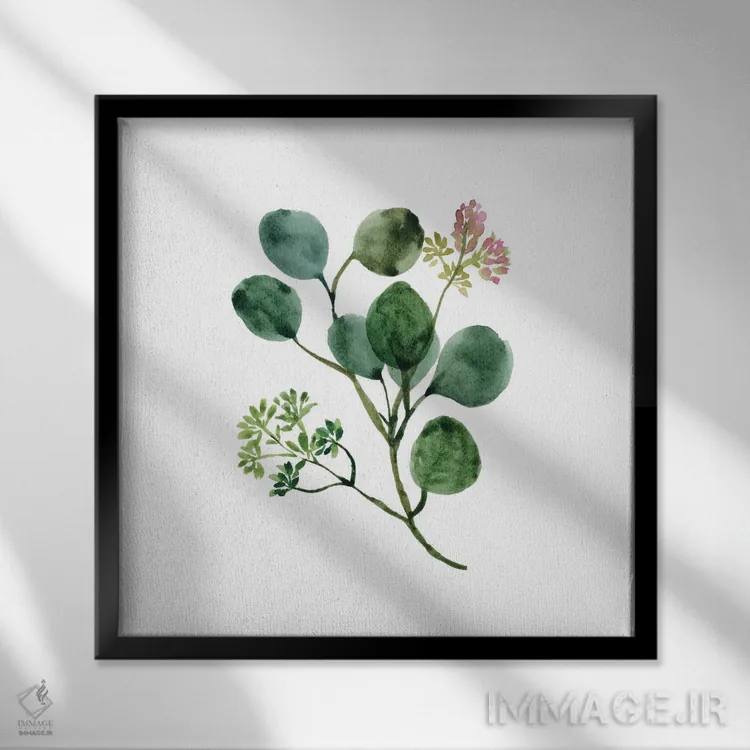 تابلو مینیمال گل اوکالیپتوس با آبرنگ اثر خارین هینز - نمای قابدار مشکی