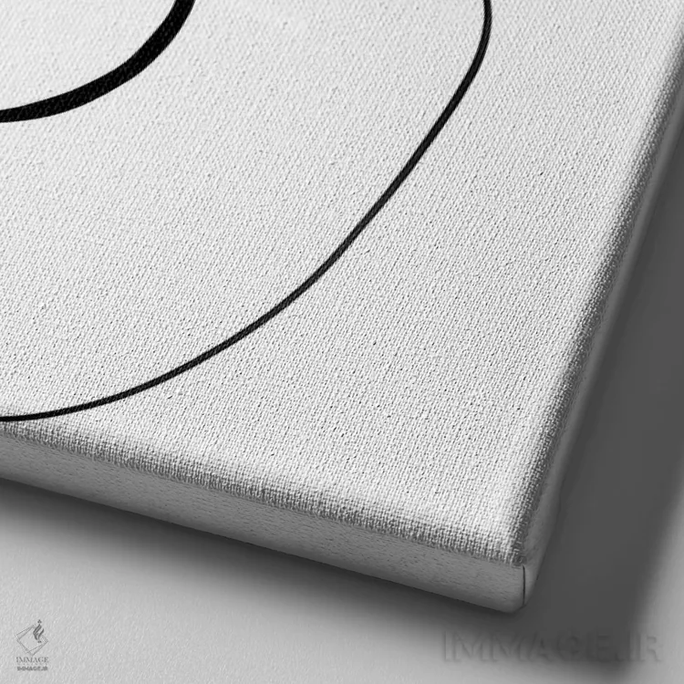 تابلو مینیمال بولداگ فرانسوی I اثر باور کی - نمای نزدیک بافت بوم