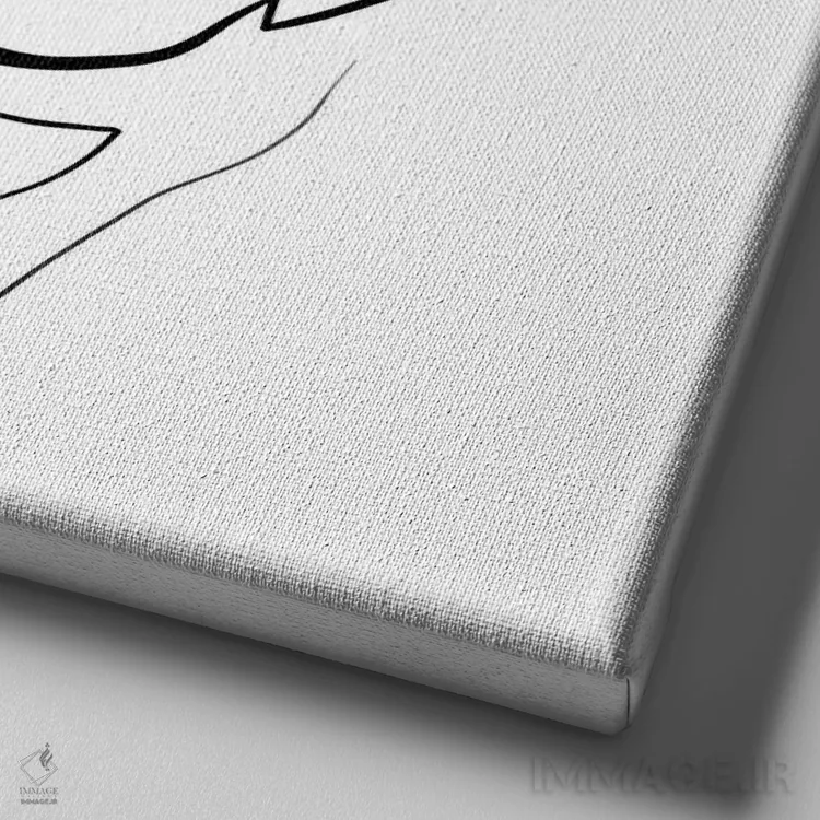 تابلو مینیمال پاگ اثر باور کی - نمای نزدیک بافت بوم