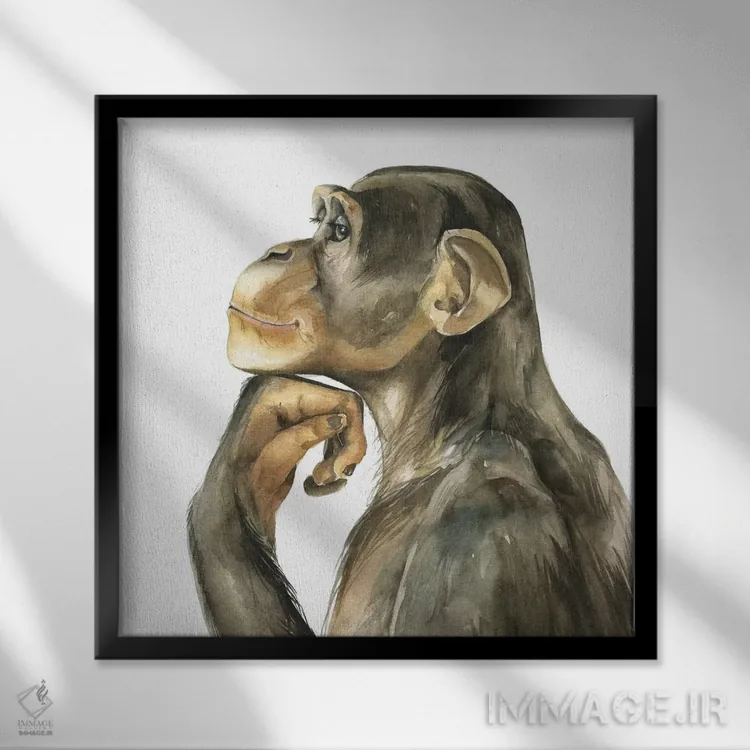 تابلو دکوراتیو میمون اثر کایرا بالان - نمای قابدار مشکی