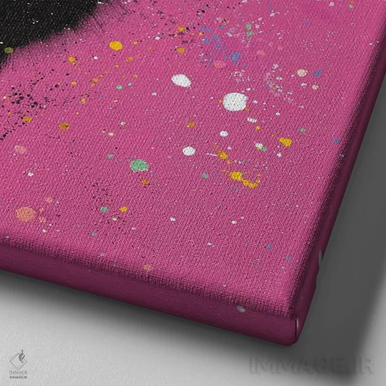 تابلو دکوراتیو گربه سیاه و صورتی فوق العاده اثر کیم هاسکینز - نمای نزدیک بافت بوم