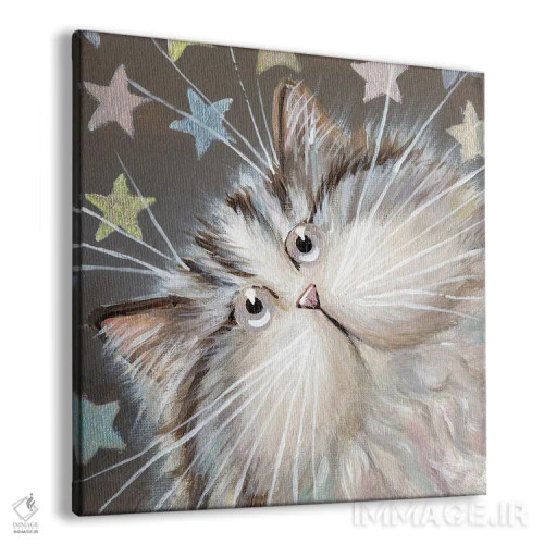 تابلو دکوراتیو ستاره کوچک اثر کیم هاسکینز - نمای پرسپکتیو محصول