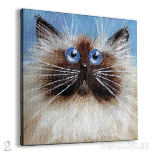 تابلو دکوراتیو سیل پوینت کوچک روی آبی اثر کیم هاسکینز - نمای پرسپکتیو محصول