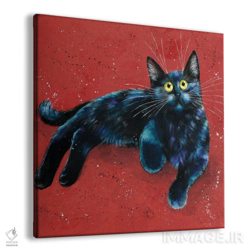 تابلو دکوراتیو آلفی اثر کیم هاسکینز - نمای پرسپکتیو محصول