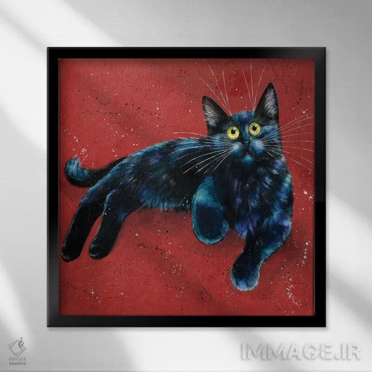 تابلو دکوراتیو آلفی اثر کیم هاسکینز - نمای قابدار مشکی