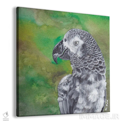 تابلو دکوراتیو طوطی خاکستری آفریقایی اثر هنر و طراحی KAK - نمای پرسپکتیو محصول