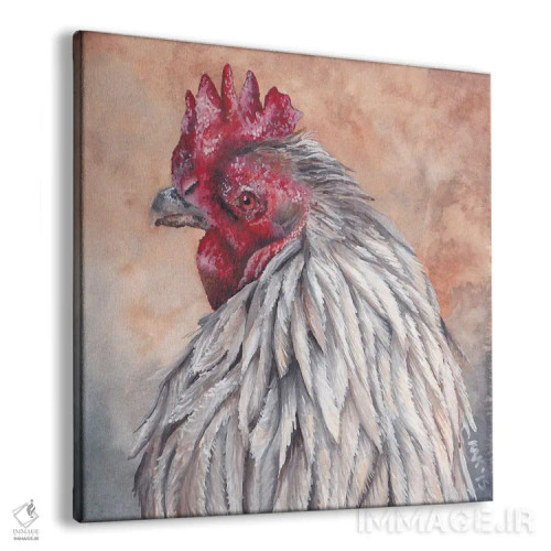 تابلو دکوراتیو خروس اثر هنر و طراحی KAK - نمای پرسپکتیو محصول