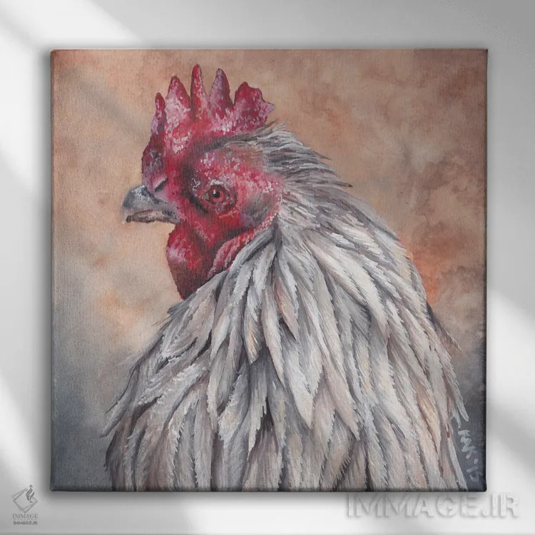 تابلو دکوراتیو خروس اثر هنر و طراحی KAK - نمای روبهرو روی دیوار