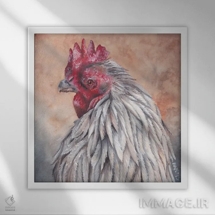 تابلو دکوراتیو خروس اثر هنر و طراحی KAK - نمای قابدار سفید