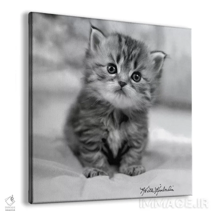 تابلو دکوراتیو سه هفته ای اثر کیت کیمبرلین - نمای پرسپکتیو محصول