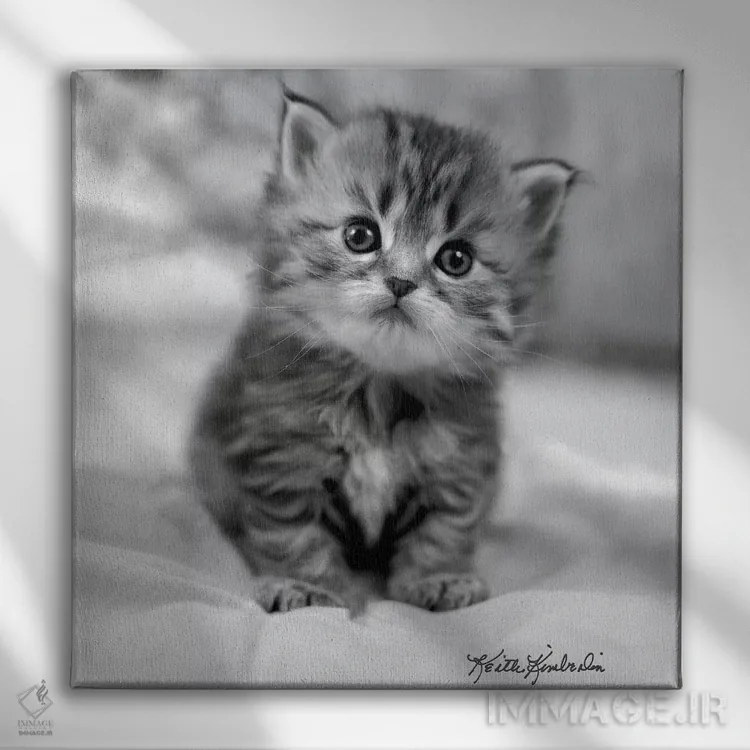 تابلو دکوراتیو سه هفته ای اثر کیت کیمبرلین - نمای روبهرو روی دیوار