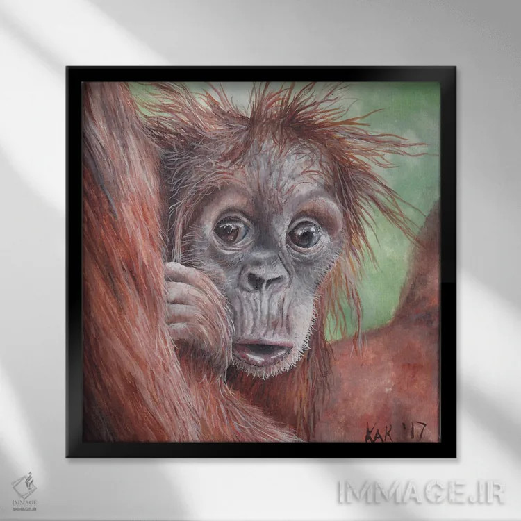 تابلو دکوراتیو اورانگوتان بچه اثر هنر و طراحی KAK - نمای قابدار مشکی