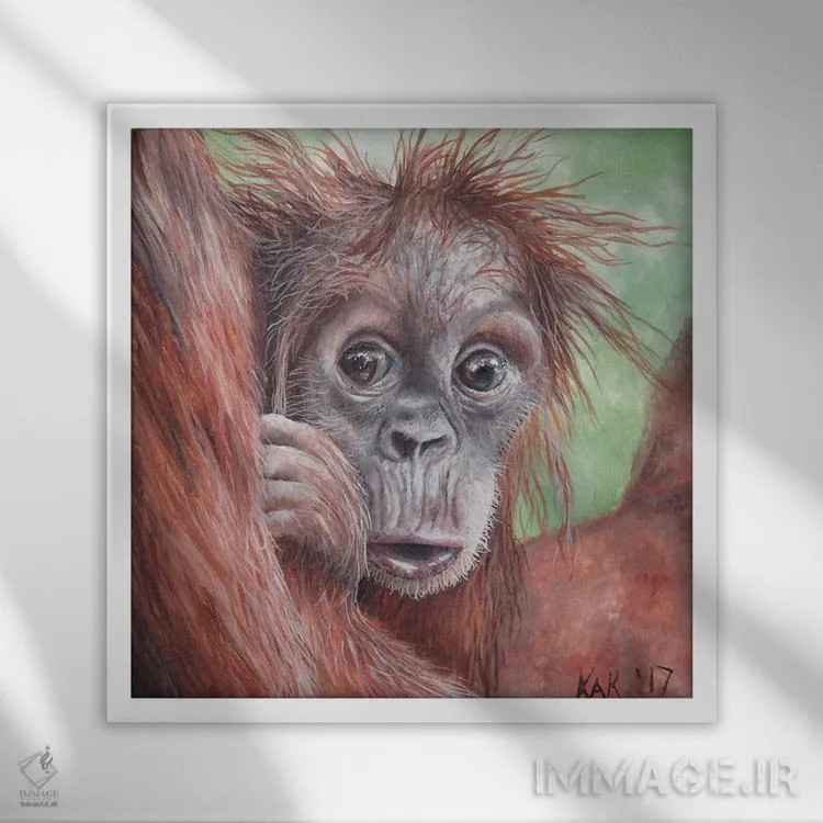 تابلو دکوراتیو اورانگوتان بچه اثر هنر و طراحی KAK - نمای قابدار سفید