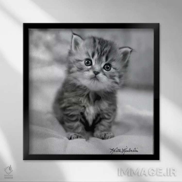 تابلو دکوراتیو سه هفته ای اثر کیت کیمبرلین - نمای قابدار مشکی