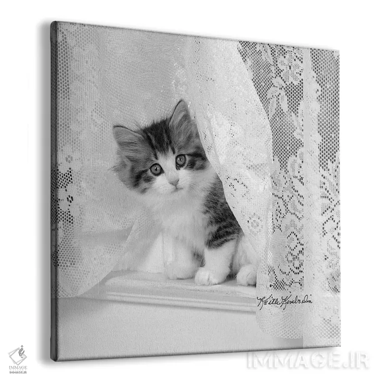 تابلو دکوراتیو لیسی اثر کیت کیمبرلین - نمای پرسپکتیو محصول