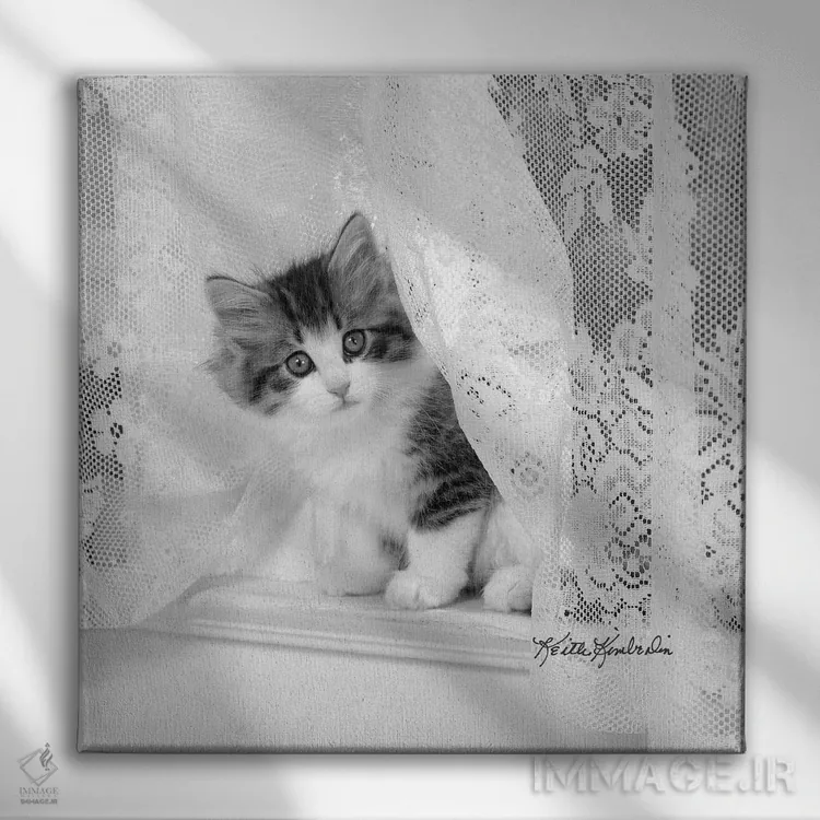 تابلو دکوراتیو لیسی اثر کیت کیمبرلین - نمای روبهرو روی دیوار