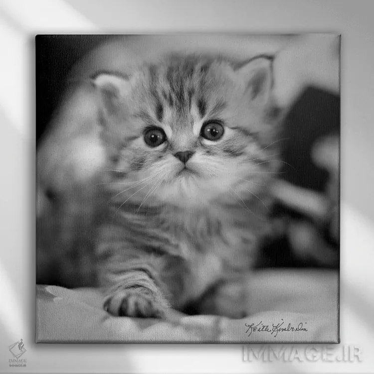 تابلو دکوراتیو مال من اثر کیت کیمبرلین - نمای روبهرو روی دیوار