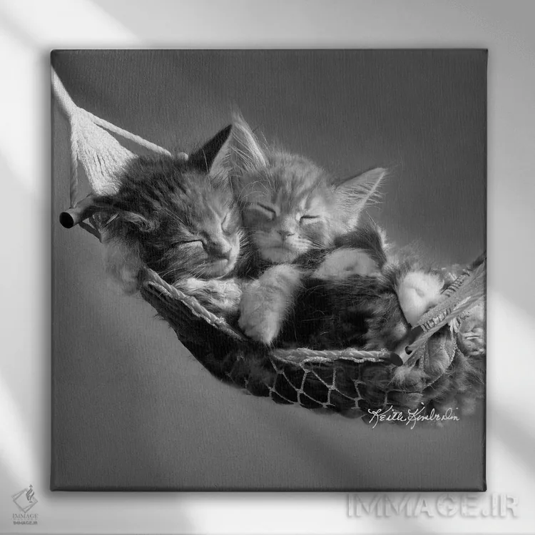 تابلو دکوراتیو بچه ها در ننو اثر کیت کیمبرلین - نمای روبهرو روی دیوار