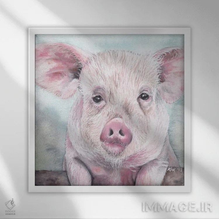 تابلو دکوراتیو خوک I اثر هنر و طراحی KAK - نمای قابدار سفید