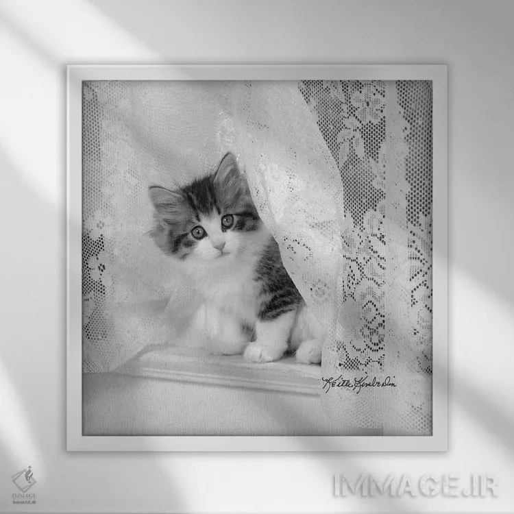 تابلو دکوراتیو لیسی اثر کیت کیمبرلین - نمای قابدار سفید