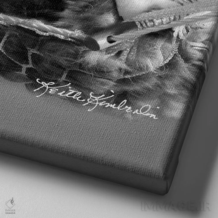 تابلو دکوراتیو بچه ها در ننو اثر کیت کیمبرلین - نمای نزدیک بافت بوم