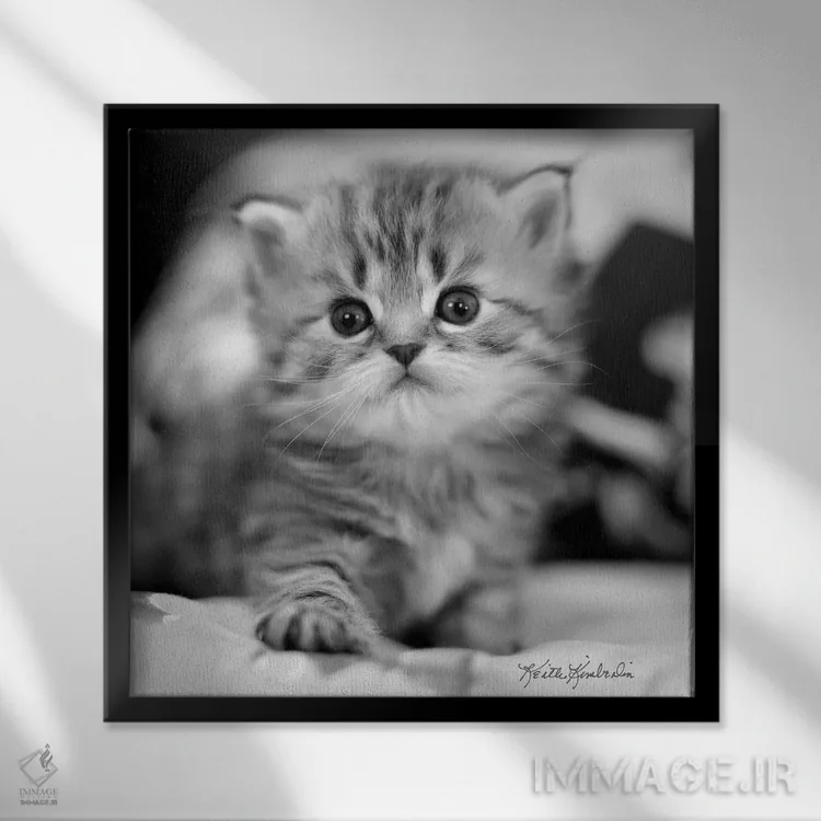 تابلو دکوراتیو مال من اثر کیت کیمبرلین - نمای قابدار مشکی