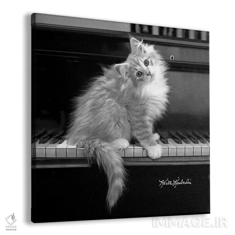 تابلو دکوراتیو گوش موسیقی کامل اثر کیت کیمبرلین - نمای پرسپکتیو محصول