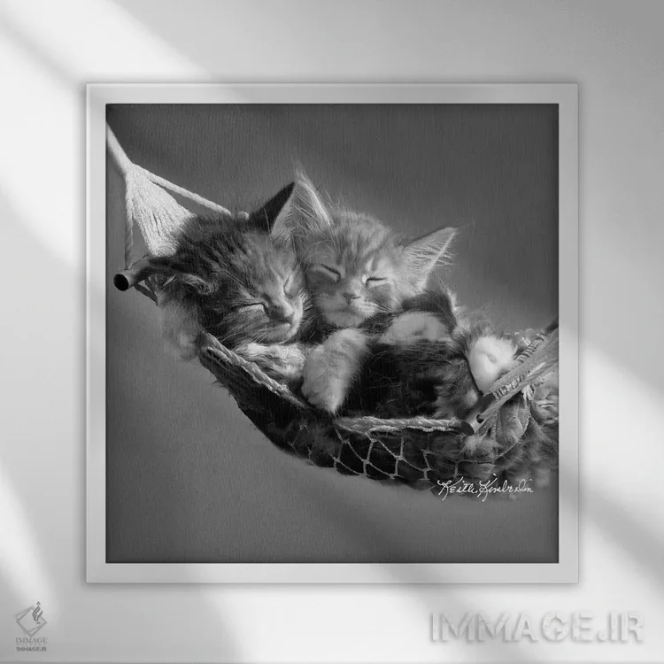 تابلو دکوراتیو بچه ها در ننو اثر کیت کیمبرلین - نمای قابدار سفید