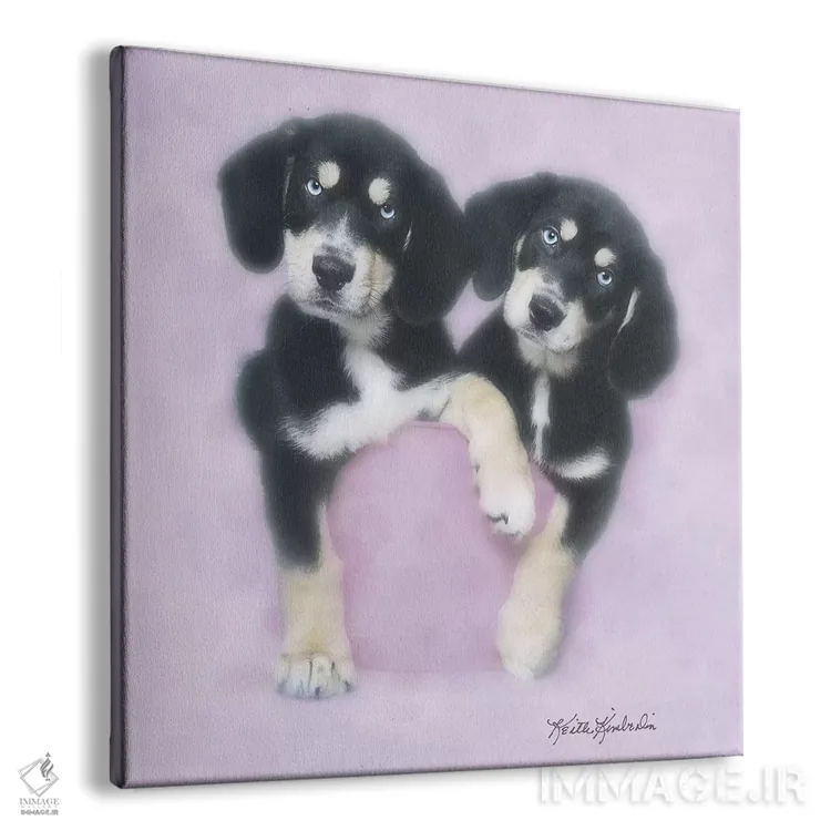 تابلو دکوراتیو زیبا با لباس صورتی اثر کیت کیمبرلین - نمای پرسپکتیو محصول