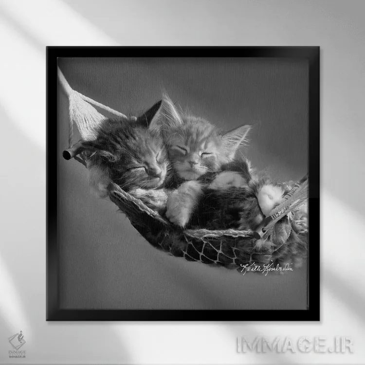 تابلو دکوراتیو بچه ها در ننو اثر کیت کیمبرلین - نمای قابدار مشکی