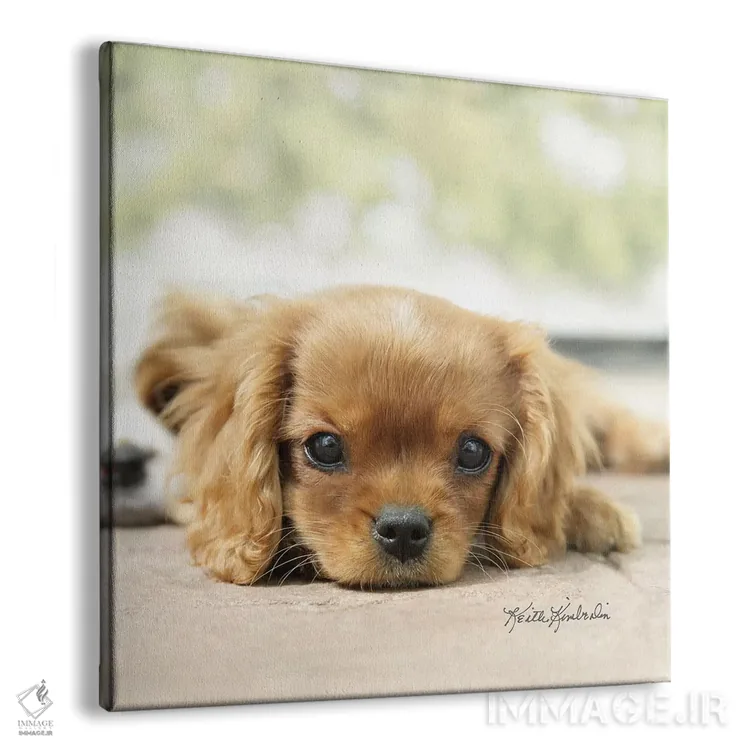 تابلو دکوراتیو سنگ ریزه ها اثر کیت کیمبرلین - نمای پرسپکتیو محصول