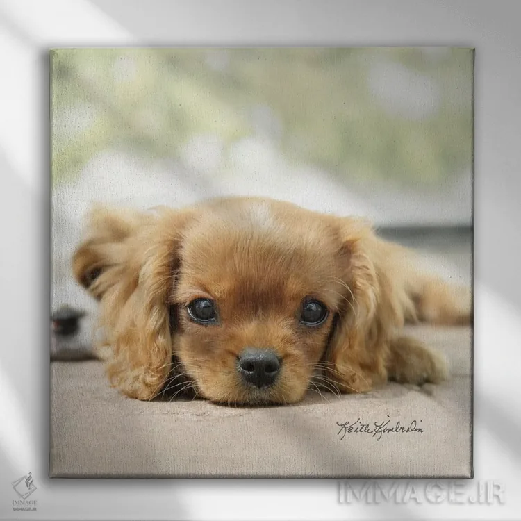 تابلو دکوراتیو سنگ ریزه ها اثر کیت کیمبرلین - نمای روبهرو روی دیوار