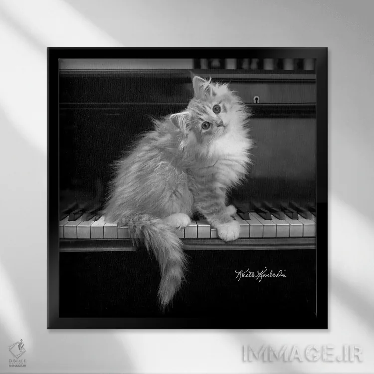 تابلو دکوراتیو گوش موسیقی کامل اثر کیت کیمبرلین - نمای قابدار مشکی