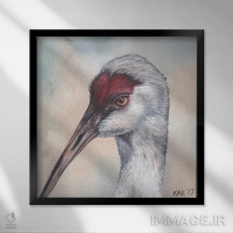 تابلو دکوراتیو درنای سند هیل اثر هنر و طراحی KAK - نمای قابدار مشکی