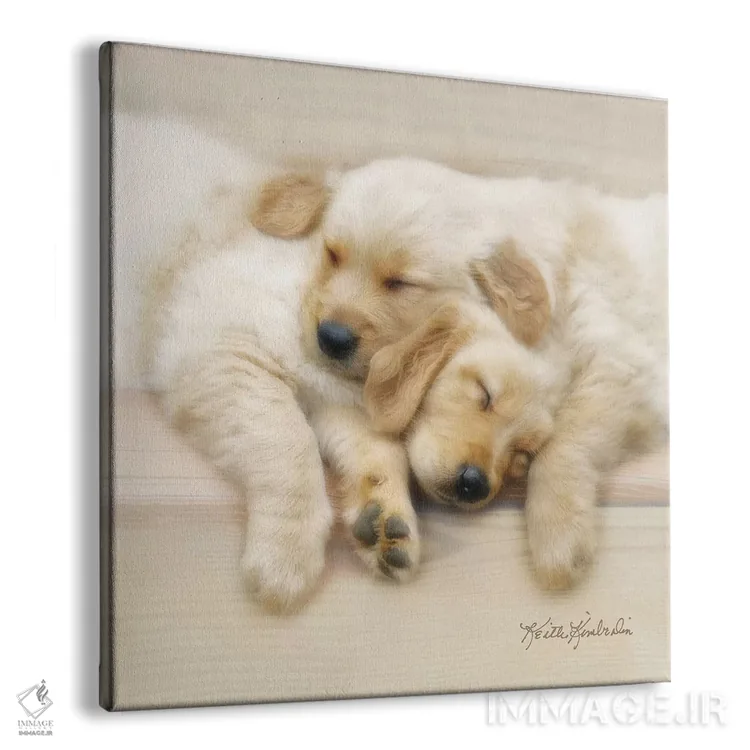 تابلو دکوراتیو دوستان خواب نیمروزی اثر کیت کیمبرلین - نمای پرسپکتیو محصول