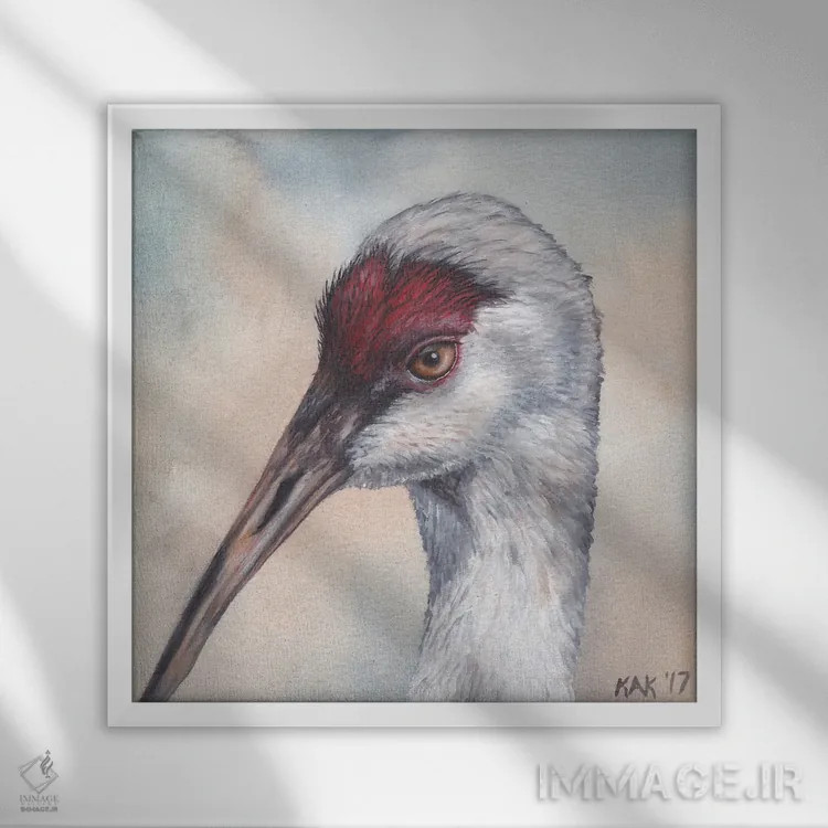 تابلو دکوراتیو درنای سند هیل اثر هنر و طراحی KAK - نمای قابدار سفید