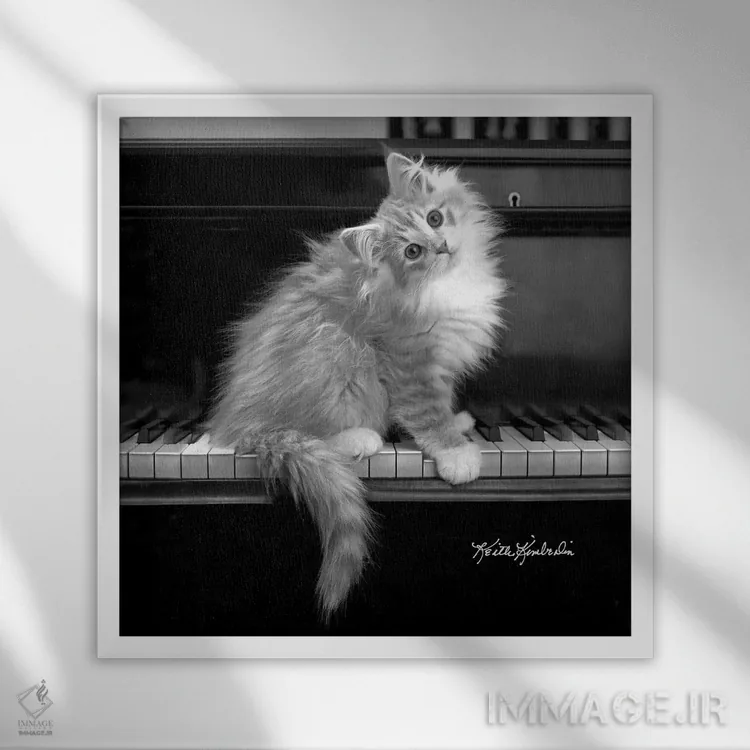 تابلو دکوراتیو گوش موسیقی کامل اثر کیت کیمبرلین - نمای قابدار سفید