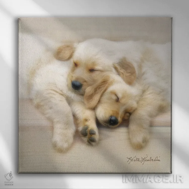 تابلو دکوراتیو دوستان خواب نیمروزی اثر کیت کیمبرلین - نمای روبهرو روی دیوار