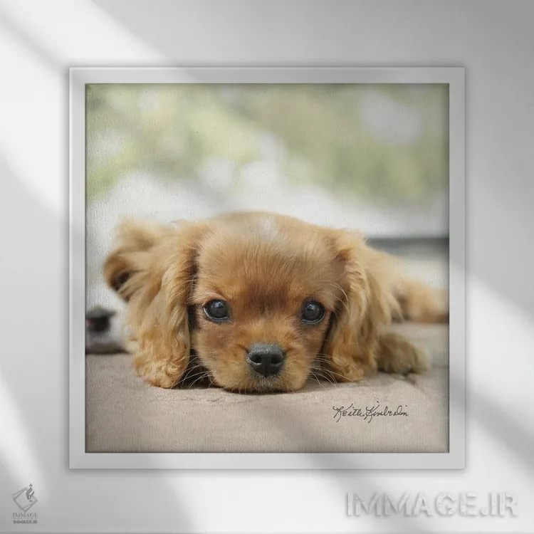 تابلو دکوراتیو سنگ ریزه ها اثر کیت کیمبرلین - نمای قابدار سفید